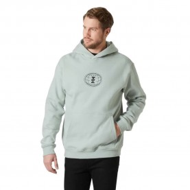 суичър,мъжки,пуловери,helly,hansen,graphic,hoodie,greedn,mist,(grey)