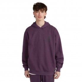 суичър,мъжки,пуловери,o´neill,the,future,surf,society,hoodie,aubergine,(purple)
