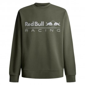 блуза,мъжки,пуловери,дамски,пуловери,red,bull,racing,team,logo,sweatshirt,green,(regent,green)