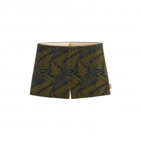 бански,гащета,мъжки,бански,костюми,fashy,24992,swimming,shorts,green,(as,original)