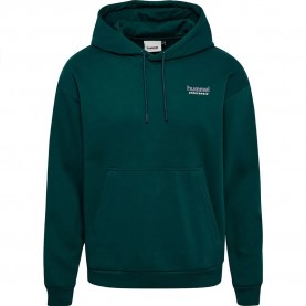 суичър,мъжки,пуловери,hummel,loose,hoodie,ponderosa,pine,(green)