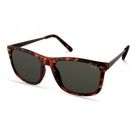 слънчеви,очила,слънчеви,очила,guess,gf0262,5652n,sunglasses,brown