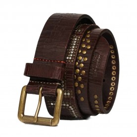 колан,колани,superdry,logo,goods,belt,brown,(brown)