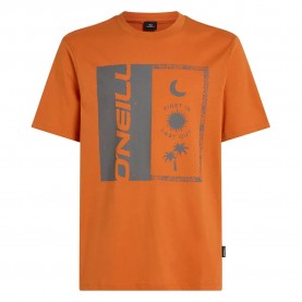 тениска,мъжки,тениски,o´neill,front,print,short,sleeve,t,shirt,cinnamon,stick,(orange)