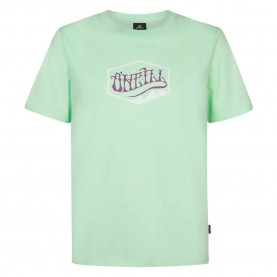 тениска,мъжки,тениски,o´neill,front,print,short,sleeve,t,shirt,mildrew,mint,(green)