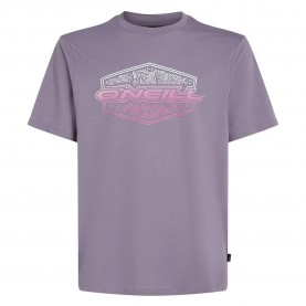 тениска,мъжки,тениски,o´neill,gradient,short,sleeve,t,shirt,storm,(purple)