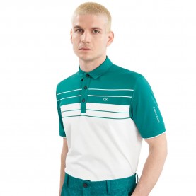 мъжки,блузи,с,яка,calvin,klein,golf,pinebrook,short,sleeve,polo,green,(white)