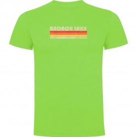 тениска,мъжки,тениски,kruskis,radnor,lake,short,sleeve,t,shirt,light,green,(green)