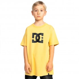 тениска,детски,тениски,dc,shoes,star,short,sleeve,t,shirt,rattan,(yellow)