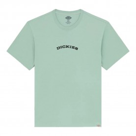 тениска,мъжки,тениски,дамски,тениски,dickies,outdoor,short,sleeve,t,shirt,green,(iceberg,green)