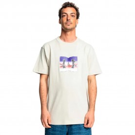 тениска,мъжки,тениски,dc,shoes,metallic,star,short,sleeve,t,shirt,pelican,(beige)