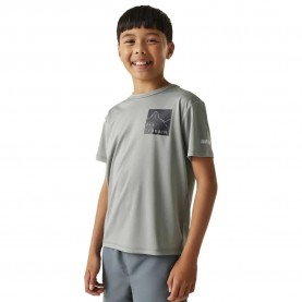 тениска,детски,тениски,regatta,alvarado,ix,short,sleeve,t,shirt,glacier,(grey)