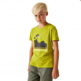 тениска,детски,тениски,regatta,bosley,viii,short,sleeve,t,shirt,grenoble,green,(yellow)