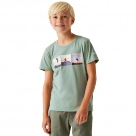 тениска,детски,тениски,regatta,bosley,viii,short,sleeve,t,shirt,glacier,(green)