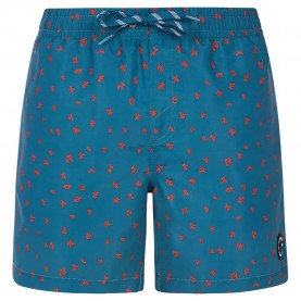 бански,гащета,мъжки,бански,костюми,protest,juan,swimming,shorts,raku,blue,(blue)
