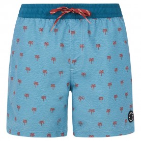 бански,гащета,мъжки,бански,костюми,protest,parco,swimming,shorts,dusty,blue,(blue)