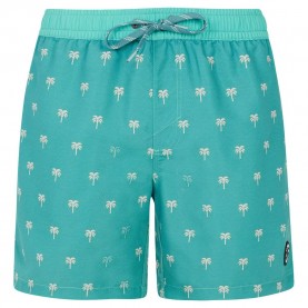 бански,гащета,мъжки,бански,костюми,protest,parco,swimming,shorts,green,(wave,green)