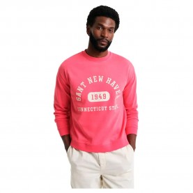 блуза,мъжки,пуловери,gant,2067038,sweatshirt,pink