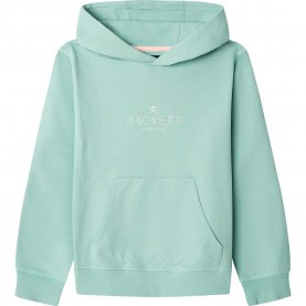 суичър,детски,блузи,hackett,3,sail,hoodie,green