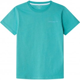 тениска,детски,тениски,hackett,palm,back,short,sleeve,t,shirt,green,(spearmint,green)