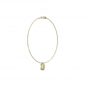 бижутерия,guess,racer,tag,necklace,golden