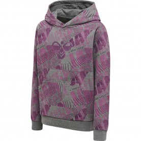 суичър,детски,блузи,hummel,space,jam,hoodie,amaranth,(grey)