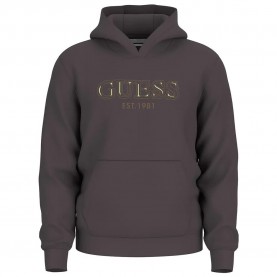 суичър,мъжки,пуловери,guess,basic,hoodie,bark,brown