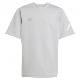 тениска,детски,тениски,adidas,mercedes,amg,petronas,formula,one,team,silver,arrows,short,sleeve,t,shirt,grey,two,(grey)