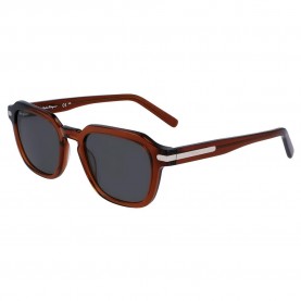 слънчеви,очила,слънчеви,очила,ferragamo,sf1089s522127,sunglasses,brown,(brown,beige)