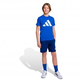 детски,екипи,детски,облекла,за,момчета,adidas,essentials,tee,set,blue,(team,royal,blue,white)