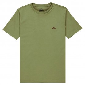 тениска,детски,тениски,quiksilver,basic,screen,short,sleeve,t,shirt,loden,green,(green)