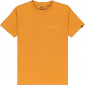 тениска,детски,тениски,quiksilver,ev,desert,waves,short,sleeve,t,shirt,almond,(yellow,orange)