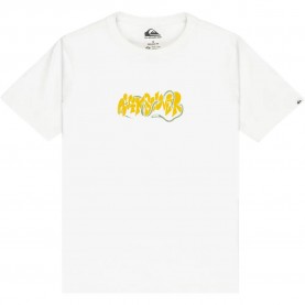 тениска,детски,тениски,quiksilver,evo,bloomsday,short,sleeve,t,shirt,snow,white,(white)