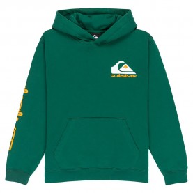 суичър,детски,блузи,quiksilver,omni,logo,hoodie,trekking,green,(green)