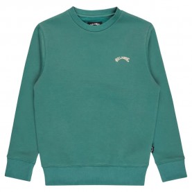 блуза,детски,блузи,billabong,arch,cr,sweatshirt,green,(sagebrush)