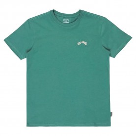 тениска,детски,тениски,billabong,arch,short,sleeve,t,shirt,sagebrush,(green)