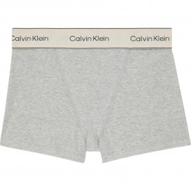 слипове,дамско,бельо,дамски,бикини,и,танкини,calvin,klein,lv00qf8371,brief,panties,heather,grey,(grey)