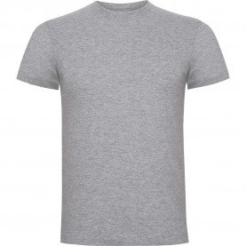 тениска,мъжки,тениски,roly,stafford,short,sleeve,t,shirt,vigore,grey,(grey)