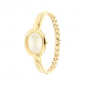 часовник,часовници,calvin,klein,25100056,24,mm,woman,watch,golden,(gold,gold,mineral)