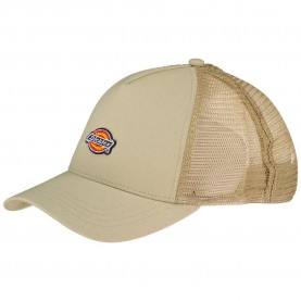 шапка,всички,шапки,dickies,hanston,trucker,cap,beige,(eucalyptus)