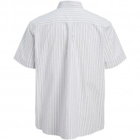 Риза с къс ръкав Jack & jones Devin Stripe short sleeve shirt - White (Vetiver) риза,с,къс,ръкав,дамски,ризи,мъжки,ризи,jack,&,jones,devin,stripe,short,sleeve,shirt,white,(vetiver)