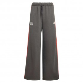 панталони,мъжки,панталони,дамски,панталони,adidas,audi,f1,team,dna,pants,grey,(utility,black)