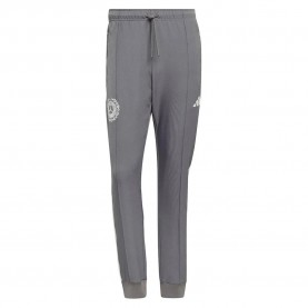 панталони,мъжки,панталони,дамски,панталони,adidas,mercedes,amg,petronas,f1,team,silver,arrows,icon,pants,grey,(granite,off,white)