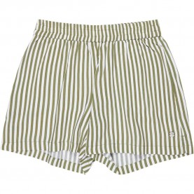 къси,панталони,мъжки,панталони,дамски,панталони,roxy,lekeitio,bay,printed,rg,shorts,green,(oil,green,vert,moda,stripe)