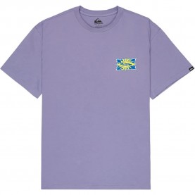 тениска,мъжки,тениски,дамски,тениски,quiksilver,ev,starfish,stamp,short,sleeve,t,shirt,purple,(daybreak)