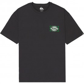 тениска,мъжки,тениски,дамски,тениски,quiksilver,ev,starfish,stamp,short,sleeve,t,shirt,black,(tarmac)