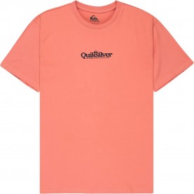 тениска,мъжки,тениски,дамски,тениски,quiksilver,fineline,short,sleeve,t,shirt,orange,(desert,sand)
