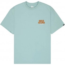 тениска,мъжки,тениски,дамски,тениски,quiksilver,fruits,tide,short,sleeve,t,shirt,green,(blue,haze)