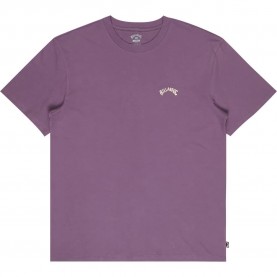 тениска,мъжки,тениски,дамски,тениски,billabong,arch,short,sleeve,t,shirt,purple,(dusty,grape)