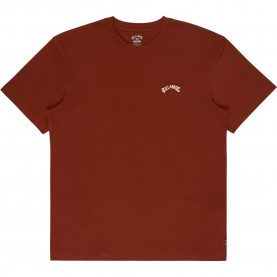 тениска,мъжки,тениски,дамски,тениски,billabong,arch,short,sleeve,t,shirt,red,(fired,red)